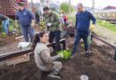 Ushuaia se vuelve más verde: Exitosa Jornada de Plantación de Árboles Autóctonos en la ciudad