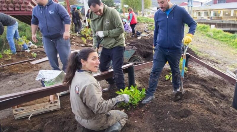 Ushuaia se vuelve más verde: Exitosa Jornada de Plantación de Árboles Autóctonos en la ciudad