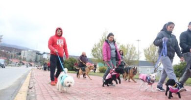 El Municipio de Ushuaia acompañó la “Caminata” organizada por Amigos del Reino Animal Fueguino