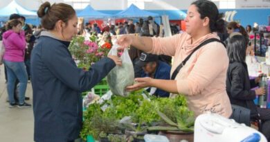 Río Grande: Este sábado vení a recorrer «El Mercado en Tu Barrio»